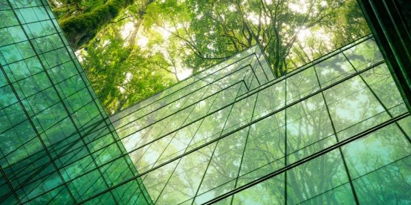 Shutterstock_entreprisetransitionecologique