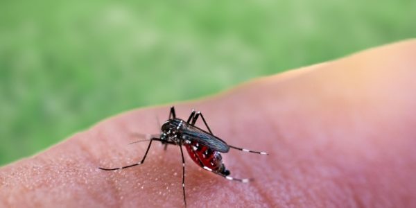 Shutterstock_guyanepaludismetests-1