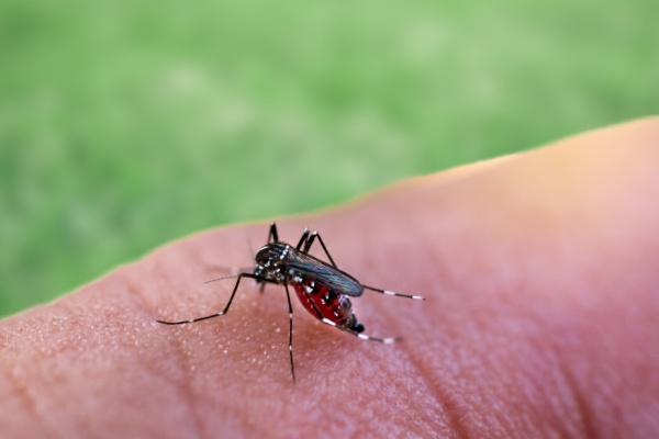 Le paludisme, aussi appelé Malaria, est une maladie encore présente en Guyane, même si des efforts ont permis de faire chuter en quelques années le nombre de cas. Ces efforts sont donc poursuivis grâce à un élargissement des personnes pouvant réaliser des tests d’orientation.