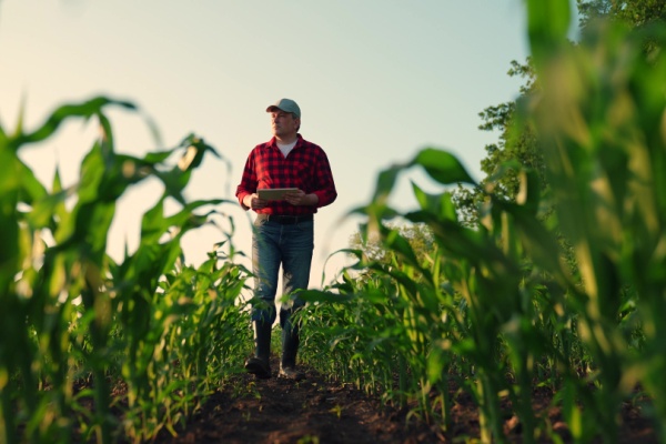 Le secteur agricole peut bénéficier d’un nombre important de différentes subventions. Les montants et la conditionnalité de plusieurs d’entre elles viennent d’être précisés...