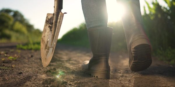 Shutterstock_entrepriseagricolecreditimpothve