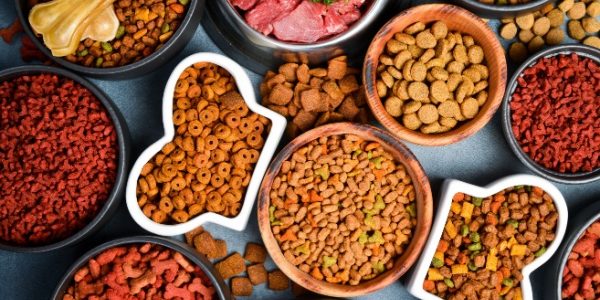 Shutterstock_tvaalimentationanimale