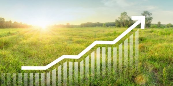 Shutterstock_taxecessionterrain