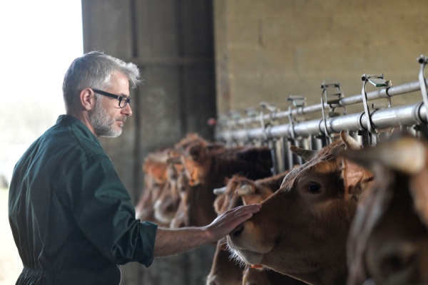 Le secteur agricole peut bénéficier d’un nombre important de différentes subventions. Cela suppose néanmoins de respecter certains délais pour faire ses demandes d’aides. Mais, à circonstances exceptionnelles, délais exceptionnels…
