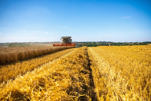 De nombreuses mesures fiscales et sociales intéressent les entreprises du secteur agricole et leurs exploitants, issues des lois de finances et de financement de la Sécurité sociale pour 2025. Voici un rapide panorama des principales mesures à connaître, et applicables dès l’année 2025…