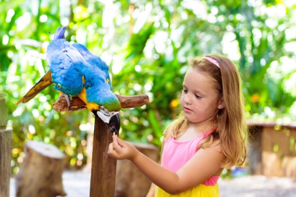 Les droits d’entrée dans un parc zoologique bénéficient d’un taux réduit de TVA à 5,5 % dont la possible suppression a été soulevée au cours des discussions relatives à la loi de finances pour 2025. En l’absence d’une telle mesure prévue dans la loi, cette suppression est-elle finalement abandonnée pour l’avenir ? Réponse…