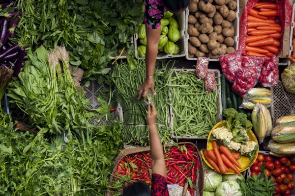 Afin d’améliorer les relations entre la distribution et le secteur agricole tout en protégeant le consommateur, l’État a pris plusieurs mesures au fil des années. Parmi ces mesures, on retrouve des dispositifs temporaires relatifs à la fixation des prix et des promotions dont la durée vient d’être prolongée. Faisons le point.