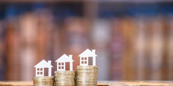 Shutterstock_ptzmayotte