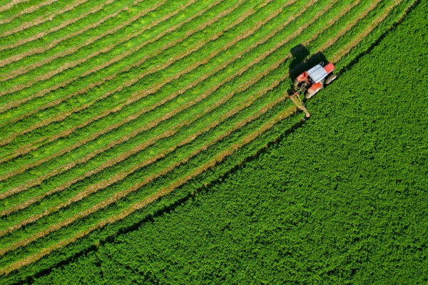 Très attendue pour répondre aux problématiques du monde agricole, la loi d'orientation pour la souveraineté alimentaire et le renouvellement des générations en agriculture a été publiée. Comme son nom l’indique, elle donne les grands objectifs que les pouvoirs publics devront suivre dans leurs politiques les prochaines années. Que faut-il retenir ?