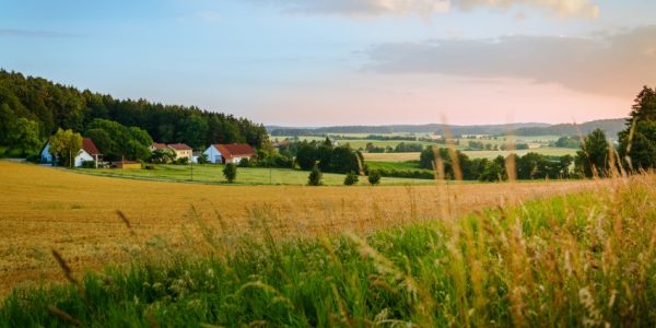 Shutterstock_zfrr