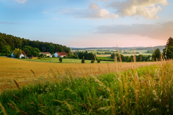 En 2024 a été acté l’aménagement des zones de revitalisation rurale (ZRR) en créant, en remplacement, les zones France ruralités revitalisation (ZFRR). Cette réforme a eu pour conséquence la sortie de nombreuses communes de ce dispositif. Une conséquence qui vient d’être corrigée…