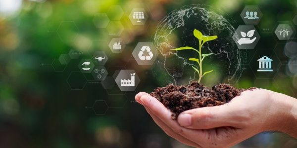 Shutterstock_BCAEnormes