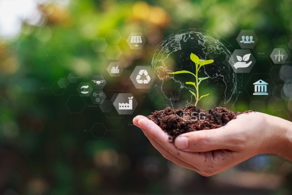 Les bonnes conditions agricoles et environnementales sont une série de normes visant à garantir la préservation de l’environnement dans le milieu agricole. Le respect de ces normes permet l’obtention de différentes aides, dont les conditions d’obtention évoluent…