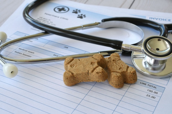 Les frais de vétérinaires et d’alimentation pour animaux sont soumis au taux normal de TVA de 20 %. Une situation qui pèse lourd sur le budget des sociétés protectrices des animaux (SPA). Réduire ce taux, voire même mettre en place une exonération serait-il envisageable ? Réponse…