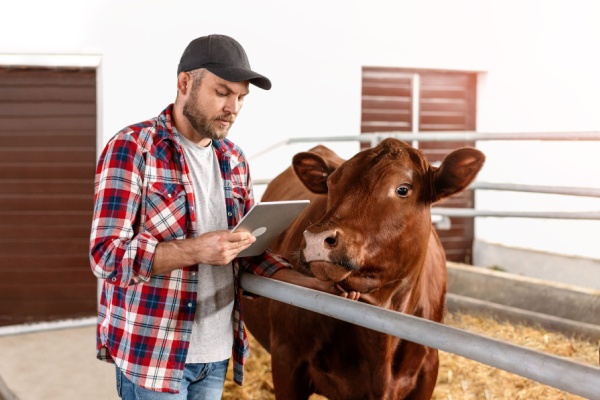Régulièrement, des mises à jour sont faites dans le secteur agricole concernant le montant de certaines aides financières ou l’évolution de maladies touchant les élevages. Focus sur les dernières précisions…