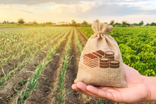 Jusqu’alors, les jeunes agriculteurs pouvaient bénéficier alternativement soit du mécanisme de réduction des cotisations sociales de droit commun, soit du mécanisme de réduction propre à leur catégorie. Ce droit d’option a été remplacé, par la dernière loi de financement de la sécurité sociale, par un cumul d’exonération, qui vient d’être effectif.