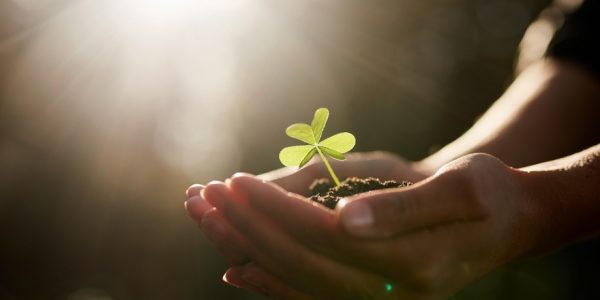 Shutterstock_handicapnaturelagriculture