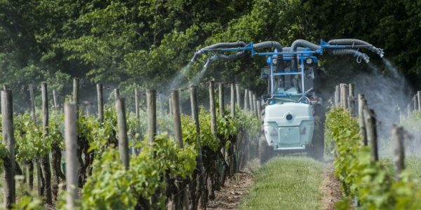 Shutterstock_phytopharmaceutriqueagricole