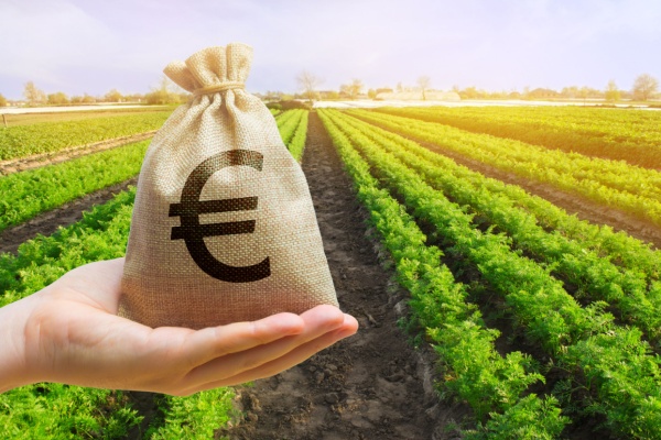 Dans le secteur agricole, les aides dites écorégime sont versées aux exploitants s’engageant à adopter des pratiques agronomiques favorables au climat et à l’environnement. Les règles d’accès à ces aides évoluent…
