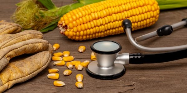 Shutterstock_santC3A9travailleursagricoles_1