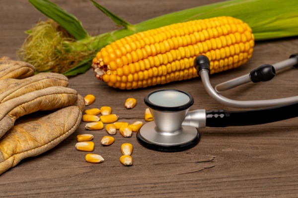 Dans la continuité de la loi dite « Santé au travail », une réforme des prescriptions légales et réglementaires applicables en matière de suivi de l’état de santé du travailleur agricole est mise en place. Explications.