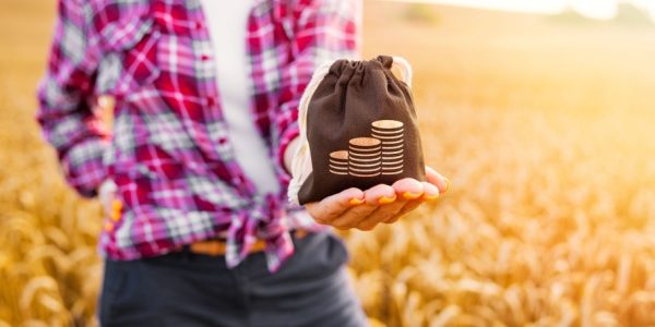 Shutterstock_agrciglobal