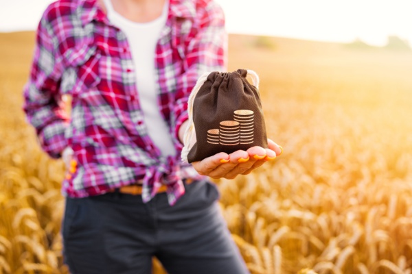 Le secteur agricole peut bénéficier d’un nombre important de différentes subventions. Des précisions sont apportées concernant de nombreuses aides…