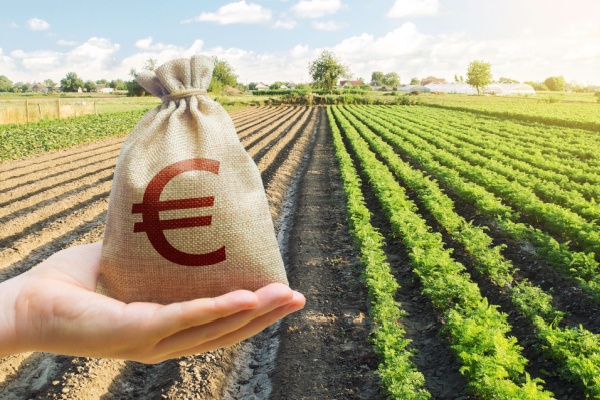 Afin de pérenniser le secteur agricole et faciliter la transmission d’exploitation, les jeunes agriculteurs qui s’installent peuvent bénéficier d’aides financières. Ces aides sont conditionnées au respect de certains engagements, sous peine de sanctions qui viennent d’être mises à jour…