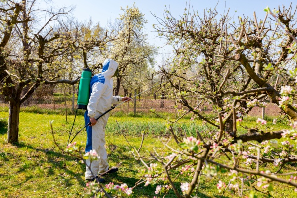 Par mesure de protection pour la santé publique, des limites à l’utilisation de certains produits phytopharmaceutiques peuvent être imposées dans le secteur agricole, notamment dans la culture des fruits et légumes. Des limites à la vente des fruits et légumes sont également possibles en fonction des résidus de produits présents sur ces aliments. Exemple des kiwis…