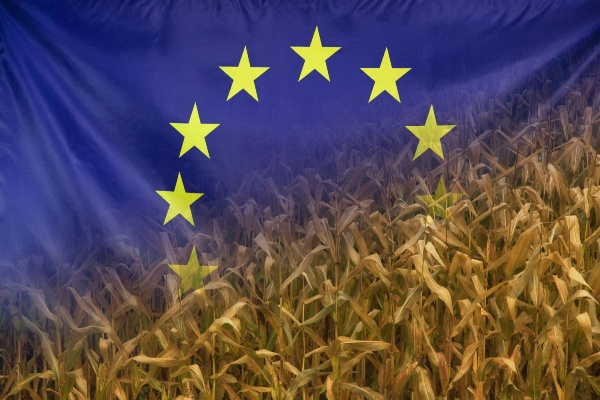 Par le biais de la Politique agricole commune (PAC), les agriculteurs européens peuvent bénéficier de nombreuses aides. Pour en bénéficier, ils doivent néanmoins veiller à respecter de nombreuses conditions, dont le non-respect peut être sanctionné sous forme de réductions du montant des aides…