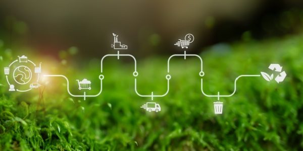 Shutterstock_accidentologie_0