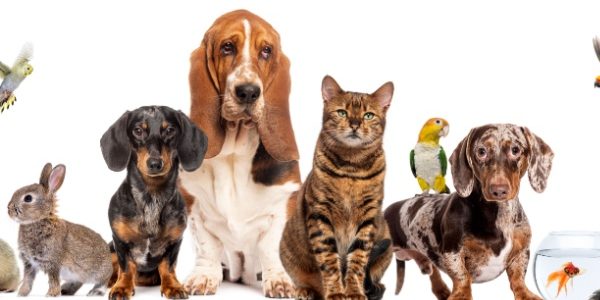 Shutterstock_soinsprotection