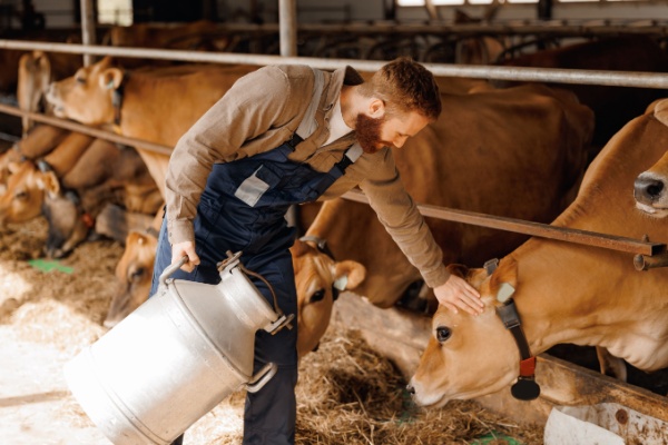 La loi de finances pour 2025 a aménagé le dispositif de déduction fiscale pour épargne de précaution et des provisions pour augmentation de la valeur des stocks de vaches laitières et de vaches allaitantes. Si un doute subsistait quant à l'entrée en vigueur de ces nouvelles dispositions, cette date vient d'être confirmée…