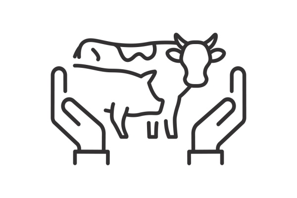 Le secteur agricole peut bénéficier d’un nombre important de différentes aides. Des précisions sont apportées concernant plusieurs d’entre elles…