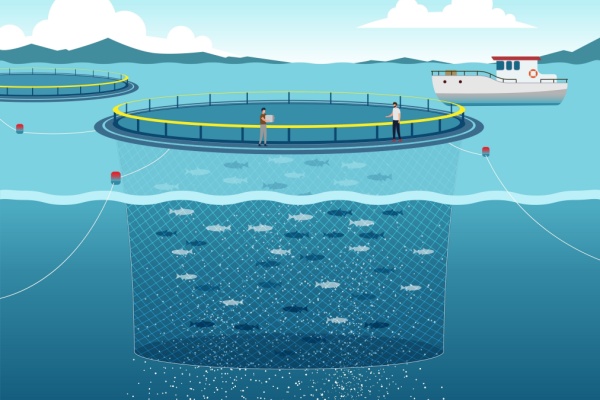 La pisciculture marine est une activité soumise à l’octroi d’une concession délivrée par le préfet permettant l’occupation privative du domaine maritime qui est, par définition, public. Un octroi de concession qui a été élargi par le Gouvernement…