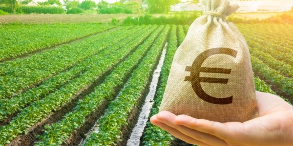 Shutterstock_terresagricolestaxefonciere