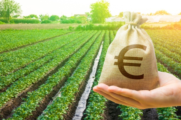 La loi de finances pour 2025 a augmenté le taux d’exonération de la taxe foncière sur les propriétés non bâties en faveur des terres agricoles et le montant de la rétrocession aux preneurs des terres quand elles sont données à bail. Mais cette mesure est-elle déjà entrée en vigueur ? Réponse…