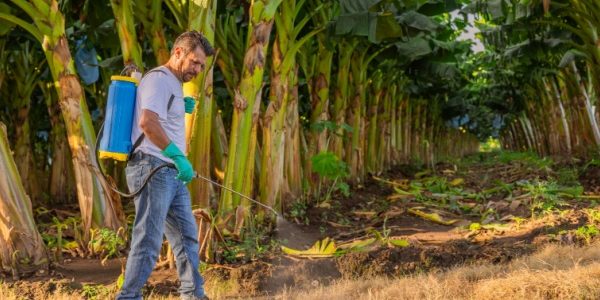 Shutterstock_chlordeconesolutions