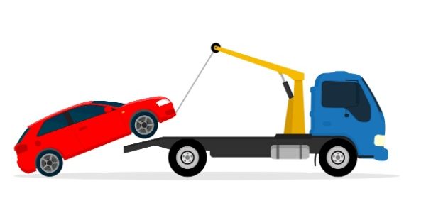 Shutterstock_fourriere