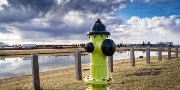 Shutterstock_chaisICPE-1