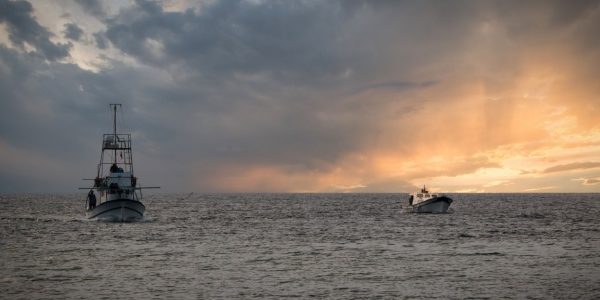 Shutterstock_licencereuropeennepeche