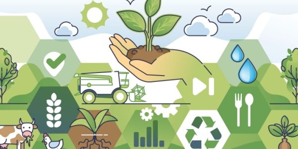 Shutterstock_LFSSagriculture-2