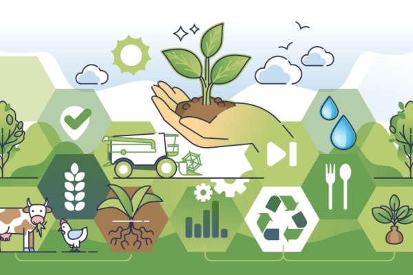 De nombreuses mesures sociales sont susceptibles d’intéresser les professionnels du secteur agricole, issues de la loi de financement de la Sécurité sociale pour 2026. Voici les principales mesures applicables dès 2026 à retenir impactant les entreprises agricoles…