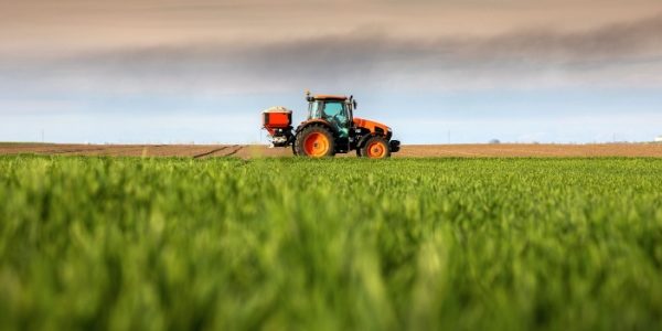 Shutterstock_agricultureorganisation