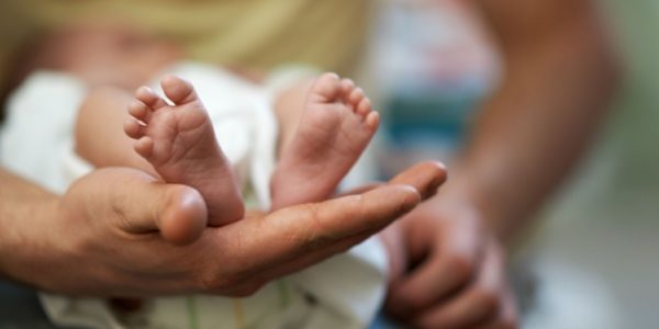 Shutterstock_congesupplementairenaissance