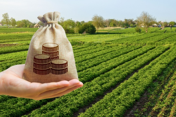 Parmi les mesures adoptées dans le cadre de la loi de finances pour 2026, plusieurs dispositions viennent créer, aménager, proroger des dispositifs fiscaux qui intéressent spécialement les professionnels des secteurs agricole, piscicole, viticole. Voici un panorama rapide des mesures essentielles à retenir à ce sujet…