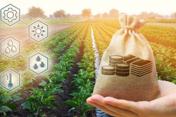 Afin de favoriser les nouvelles installations dans le secteur agricole, des politiques et des aides sont régulièrement mises en place par les pouvoirs publics. Un volet spécifique à Saint-Pierre-et-Miquelon a ainsi été créé, dont les modalités viennent d’être dévoilées.