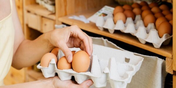 Shutterstock_commercialisationoeufs