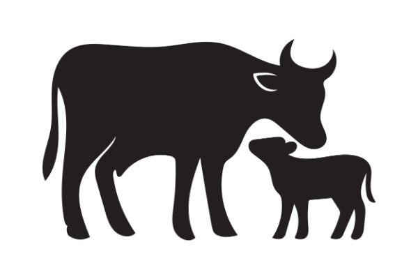 Que ce soit par le biais de la politique agricole commune (PAC) de l’Union européenne (UE) ou au niveau national, les aides financières que peuvent recevoir les agriculteurs sont nombreuses et les montants en sont régulièrement précisés.