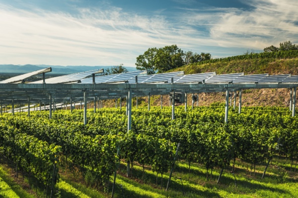 Afin de développer les projets d’envergure, notamment dans les secteurs industriels et énergétiques, la loi de simplification de la vie économique a instauré des dispositifs visant à faciliter les démarches et les autorisations normalement requises…